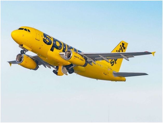How do I add my pet on Spirit Airlines?
