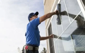 Professional Window Cleaning
